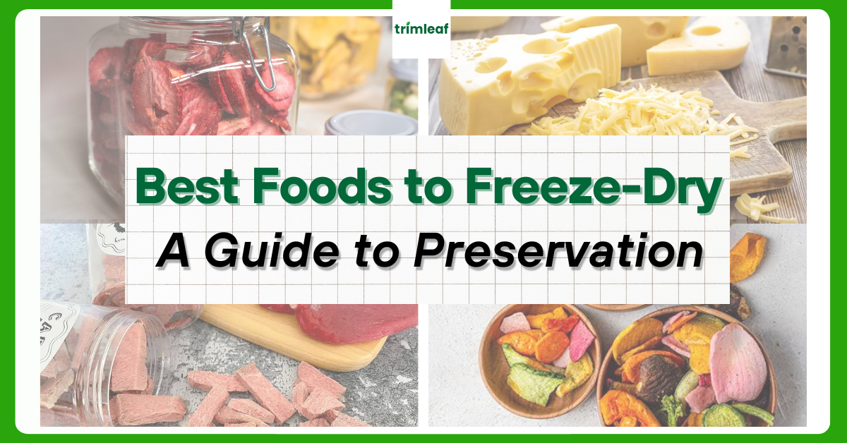 Best Foods to Freeze-Dry A Guide to Preservation