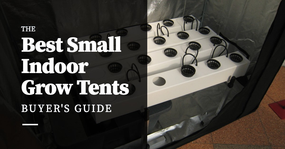 Best Small Indoor Grow Tents (2024)