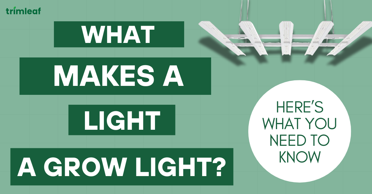 What Makes a Light a Grow Light?