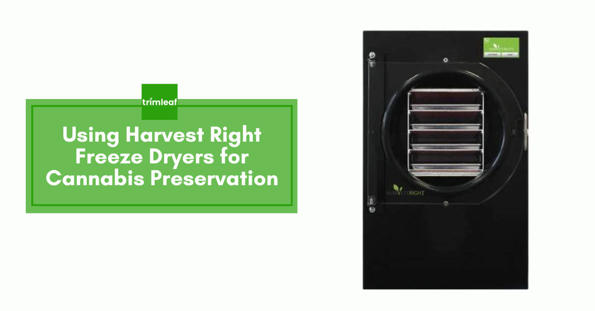 Using Harvest Right Freeze Dryers for Cannabis Preservation