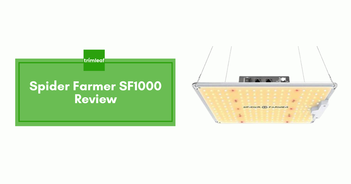 Spider Farmer SF1000 Review