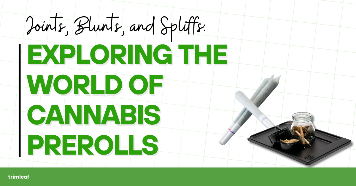 Joints, Blunts, and Spliffs: Exploring the World of Cannabis Prerolls