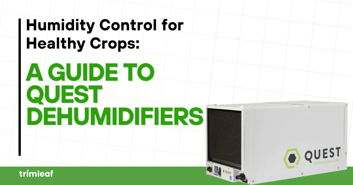 Humidity Control for Healthy Crops: A Guide to Quest Dehumidifiers