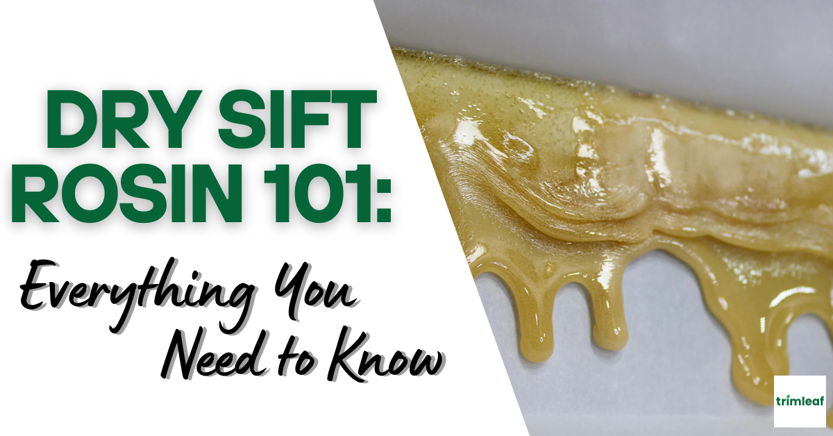 Dry Sift Rosin 101 Everything You Need to Know