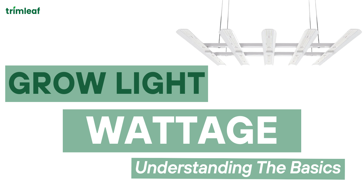 Grow Light Wattage Understanding The Basics
