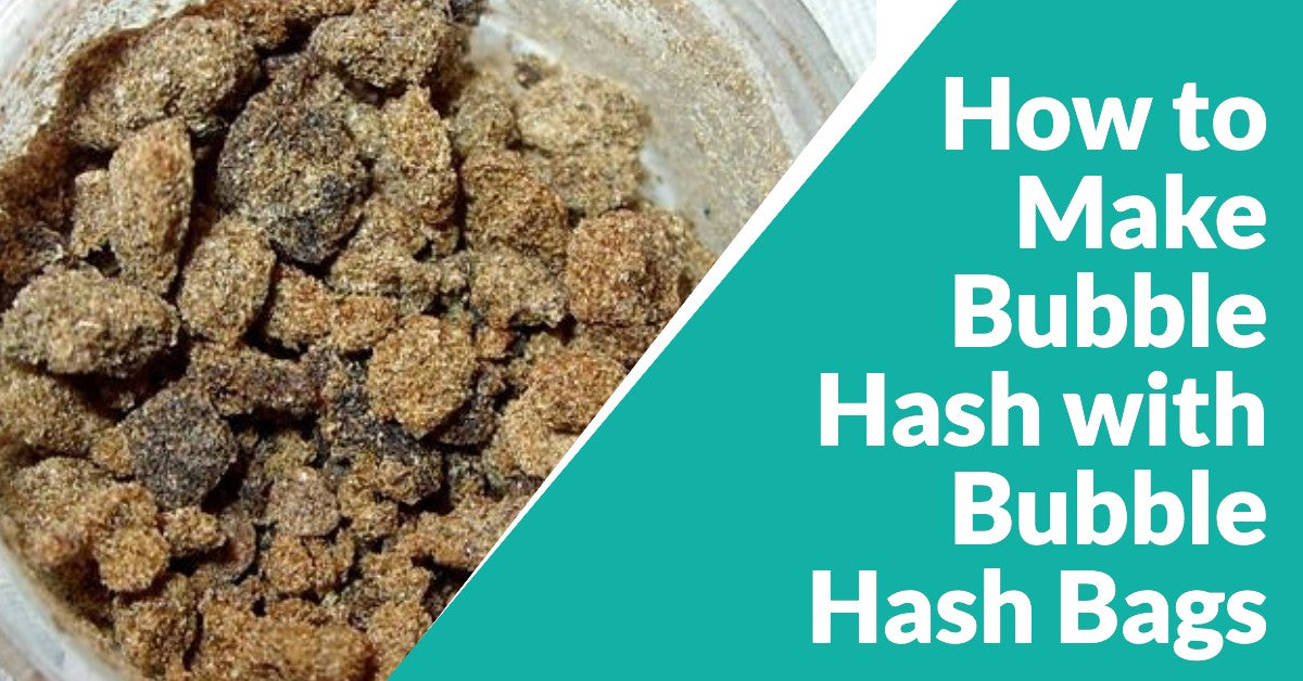 How to Make Bubble Hash with Bubble Hash Bags