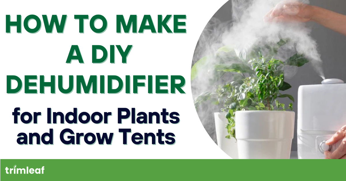 How to Make a DIY Dehumidifier for Indoor Plants and Grow Tents