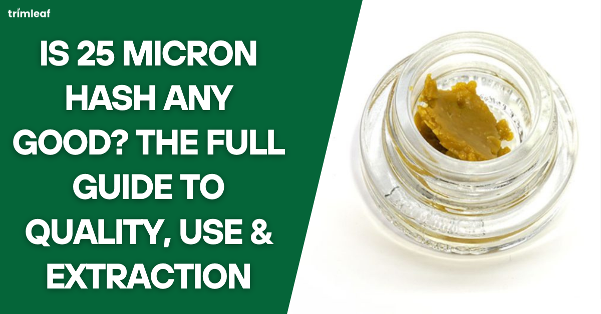 Is 25 Micron Hash Any Good The Full Guide to Quality, Use & Extraction