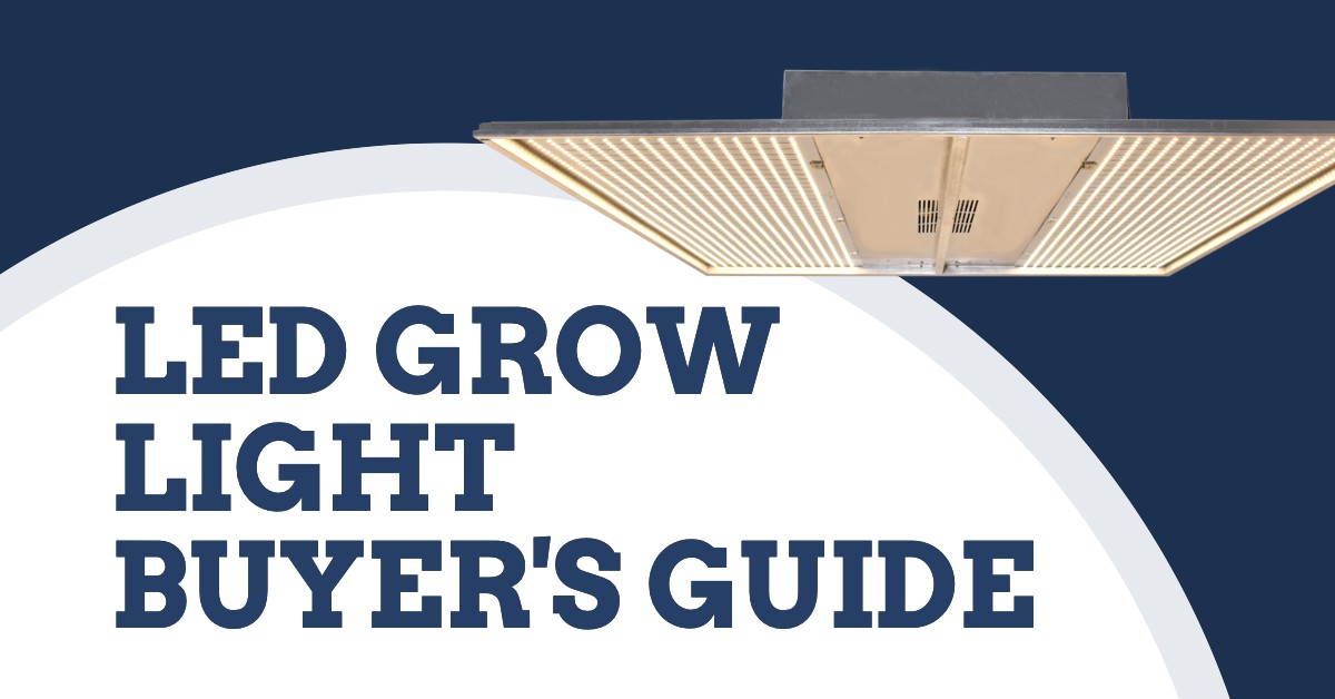 LED Grow Lights: A Comprehensive Buyer's Guide