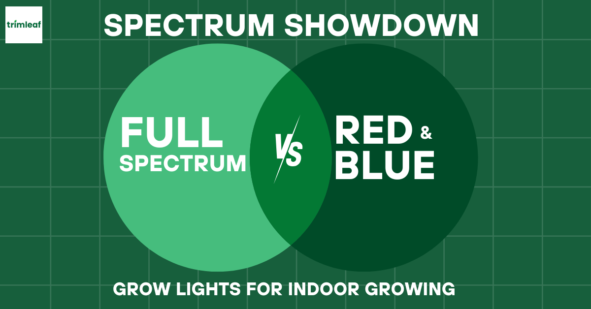 Spectrum Showdown Full Spectrum vs. Red and Blue Grow Lights for Indoor Growing