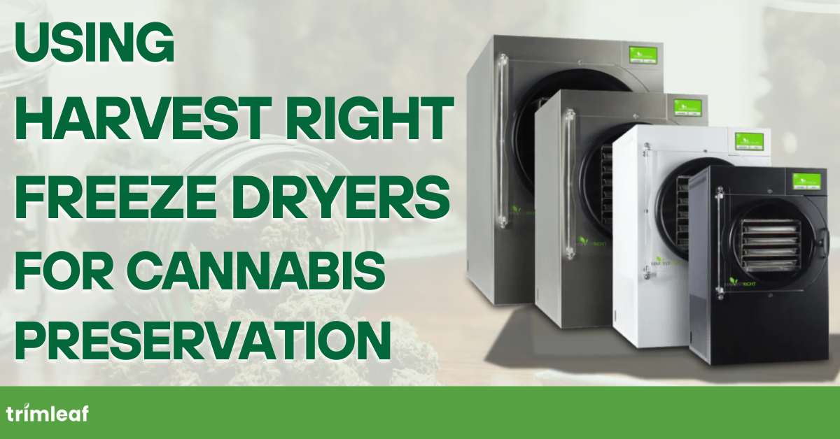 Using Harvest Right Freeze Dryers for Cannabis Preservation