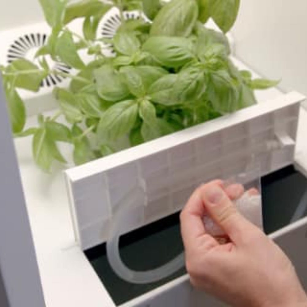 Add nutrients | Hey abby | Indoor growing steps