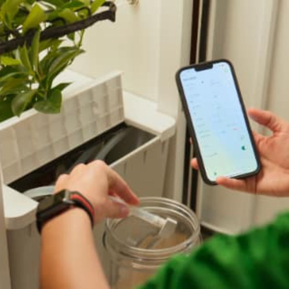 Flush system | Hey abby | Indoor growing steps