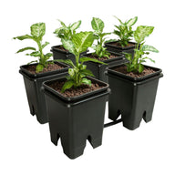 Active Aqua Grow Flow 2.0 Expansion Kit Hydroponic Grow System — 5 Gallon