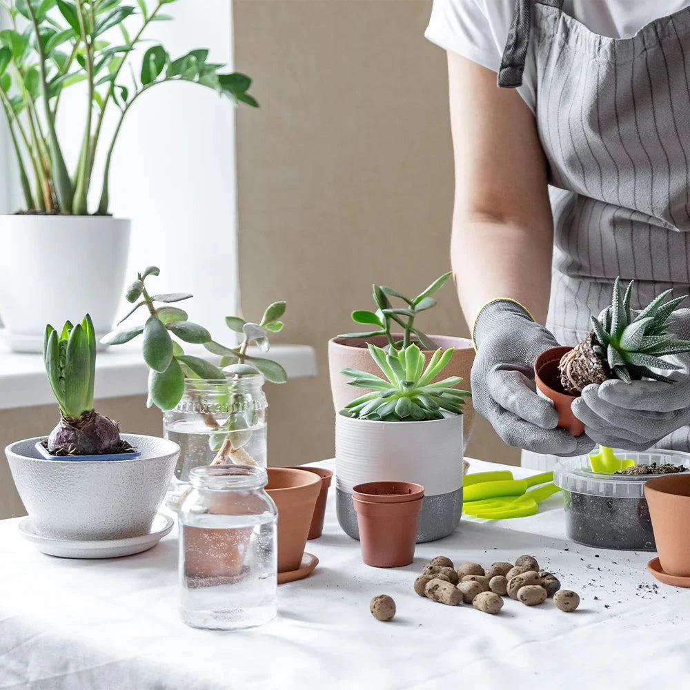 Active Grow House Plant 3-Tier Walden White LED Grow Tent Kit