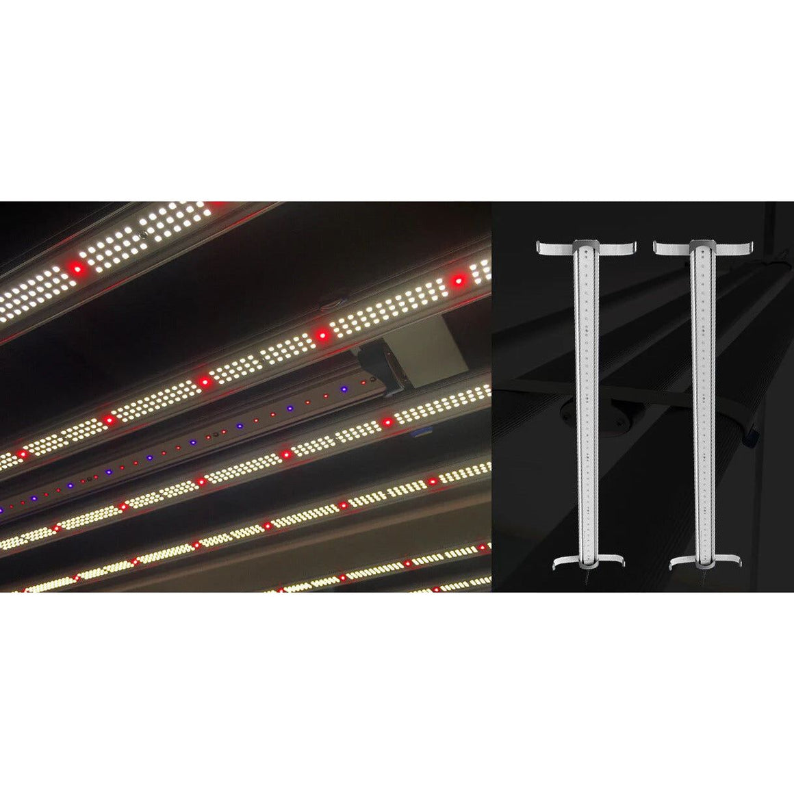 Medic Grow Medic Grow Spectrum X 880W LED Grow Light