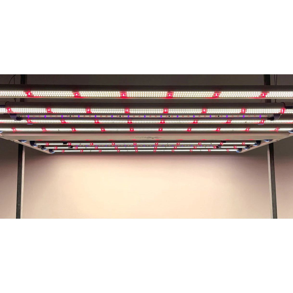 Medic Grow Medic Grow Spectrum X 880W LED Grow Light Set up