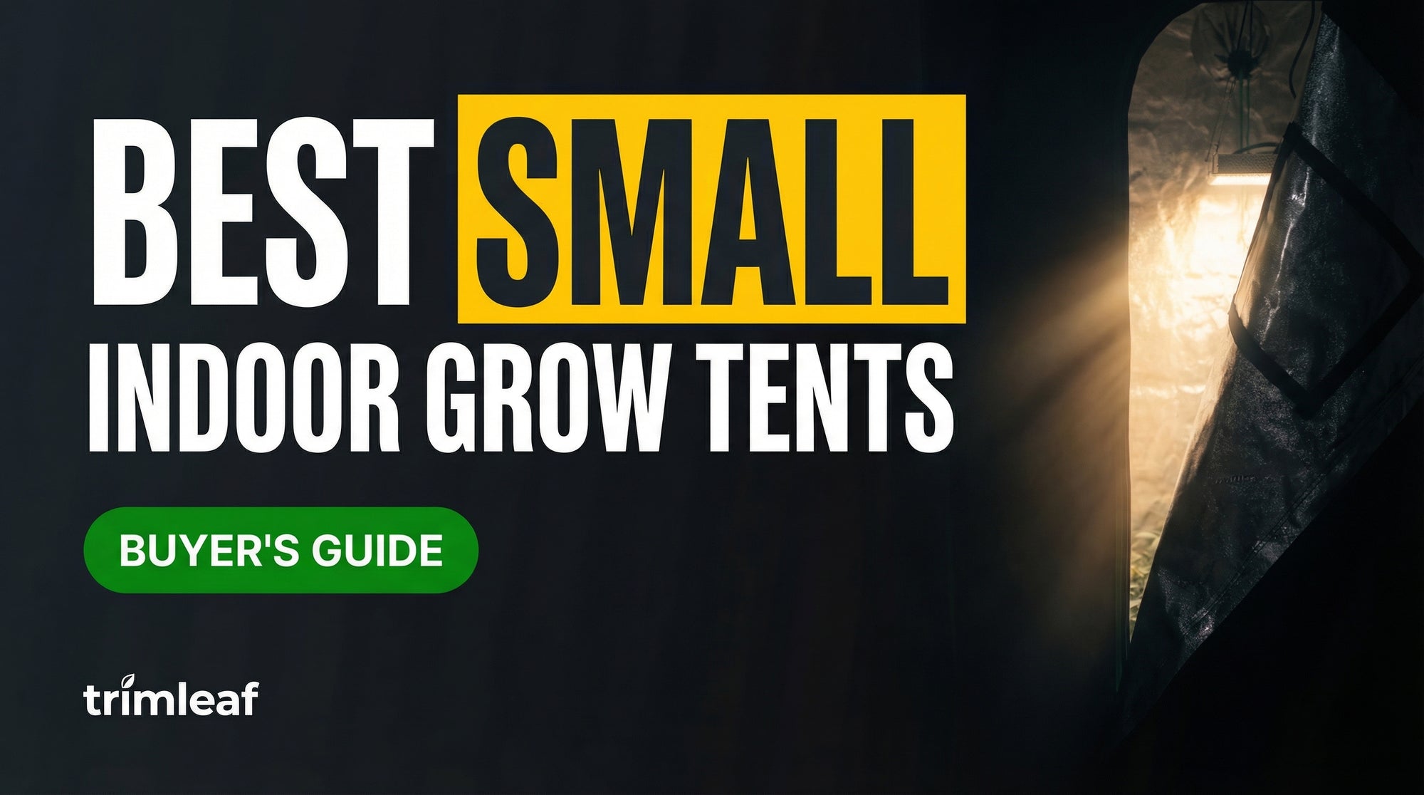 Cover image for "Best Small Indoor Grow Tents" — Trimleaf blog