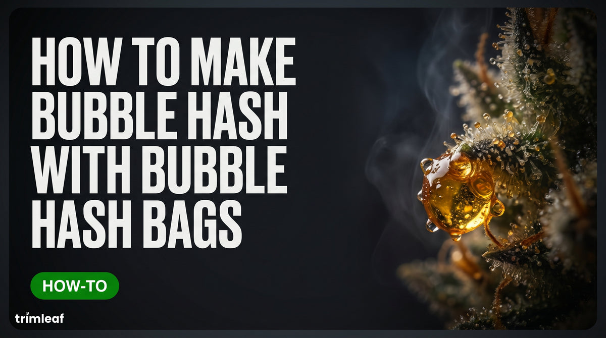 How to Make Bubble Hash: Step-by-Step With Bags or a Washer