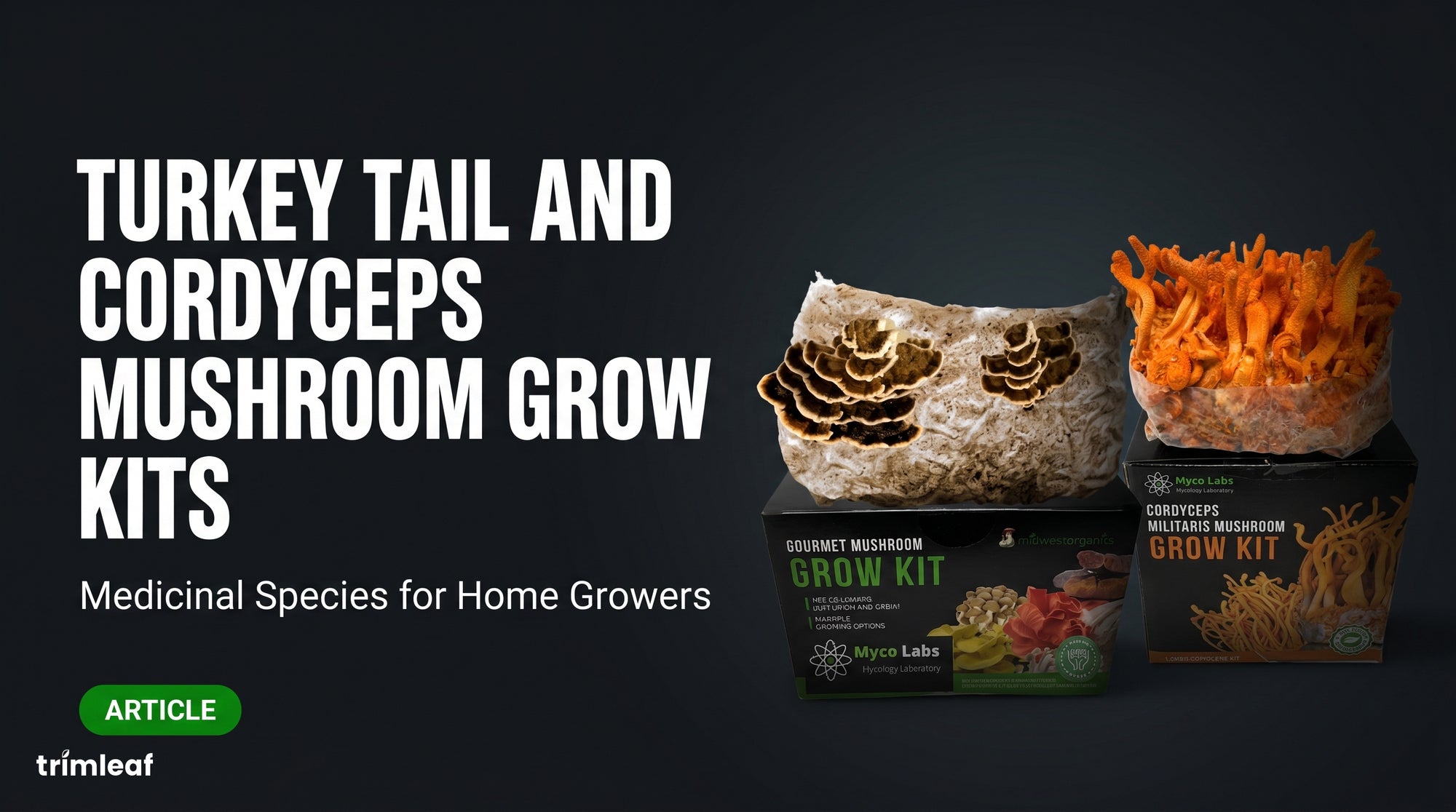 turkey-tail-and-cordyceps-specialty-kits