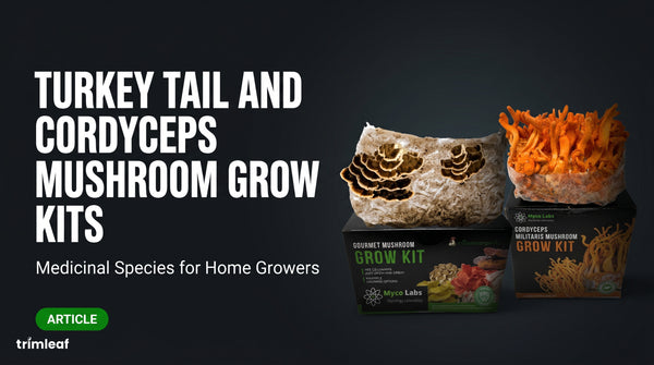 turkey-tail-and-cordyceps-specialty-kits