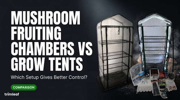 Cover image for "Mushroom Fruiting Chambers vs Grow Tents: Which Setup Gives Better Control?": Trimleaf blog