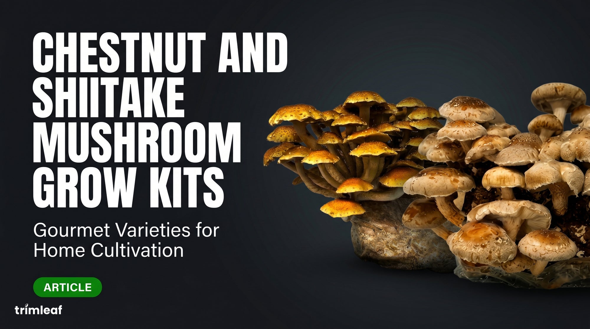 chestnut-and-shiitake-mushroom-grow-kits