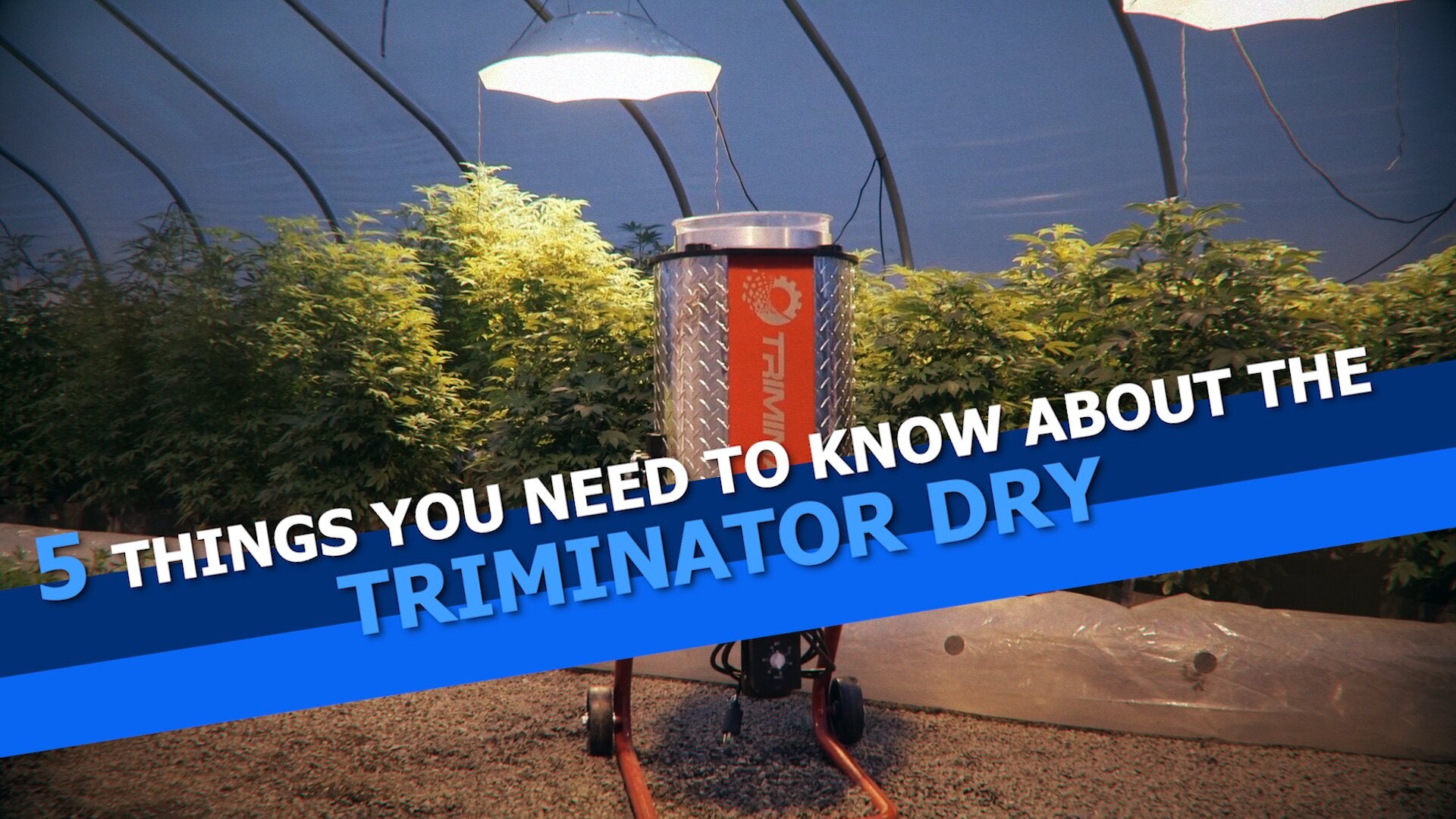 5 Things You Need To Know About The Triminator Dry Bud Trimmer