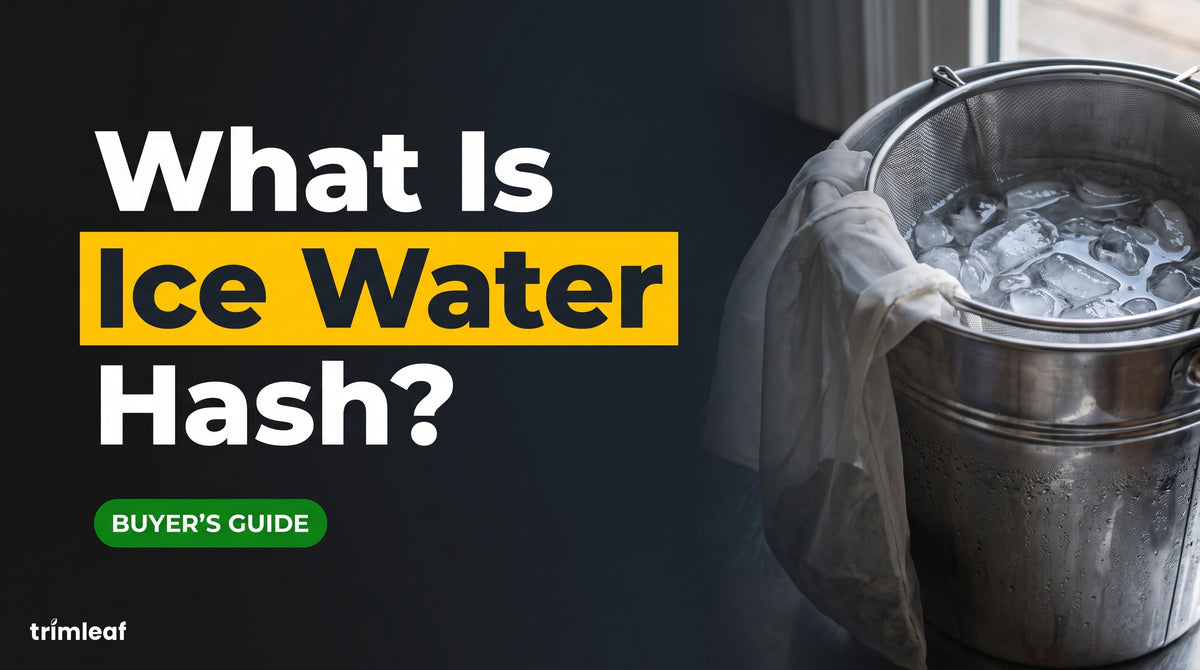 What Is Ice Water Hash? (And Why It's the Same Thing as Bubble Hash)