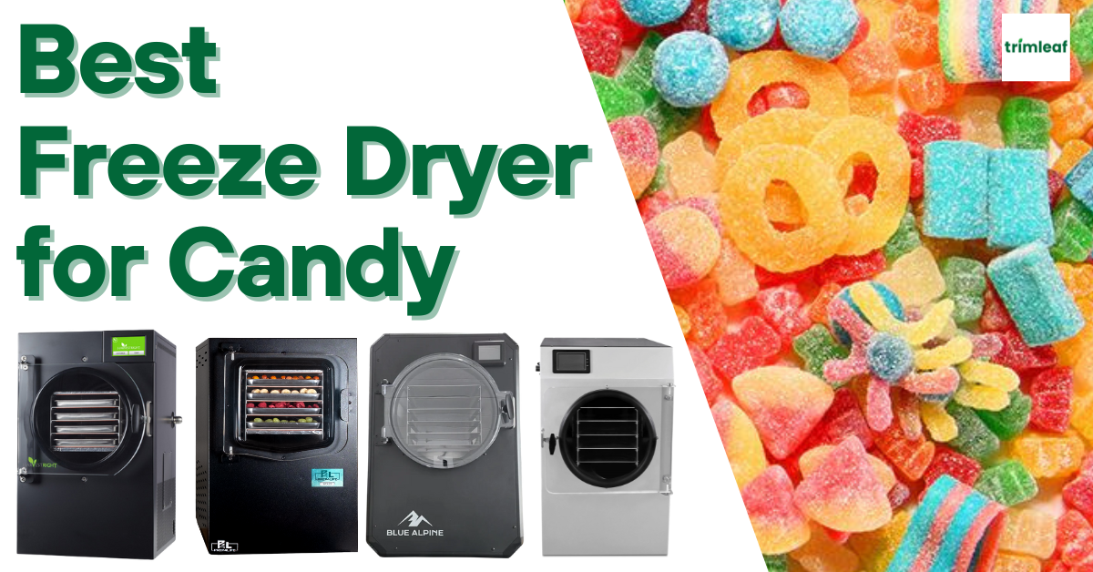 Best Freeze Dryer for Candy