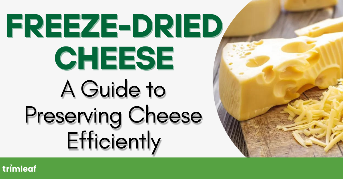 Freeze-Dried Cheese: A Guide to Preserving Cheese Efficiently