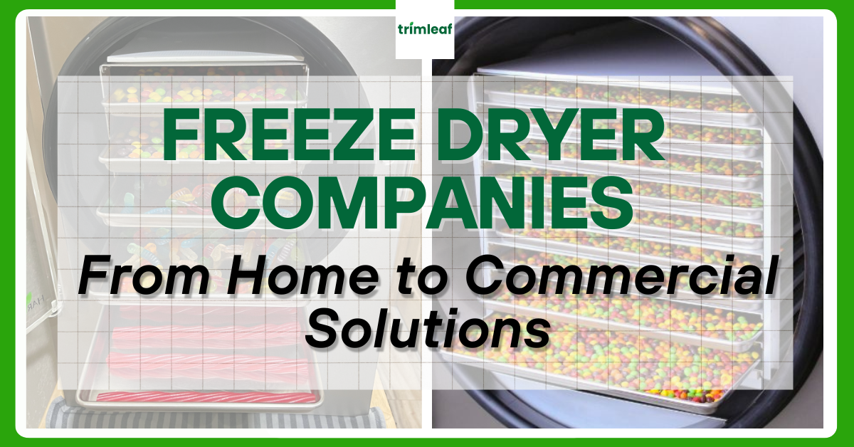 Freeze Dryer Companies: From Home to Commercial Solutions