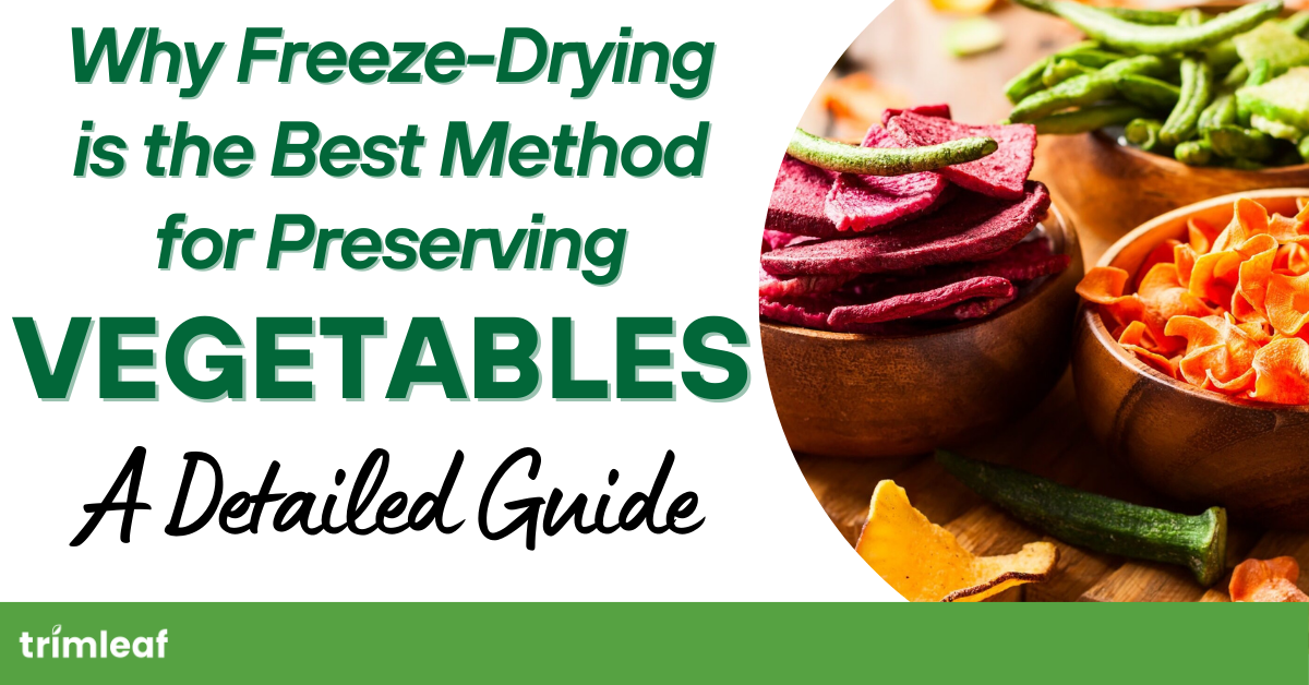 Why Freeze-Drying Is the Best Method for Preserving Vegetables: A Detailed Guide