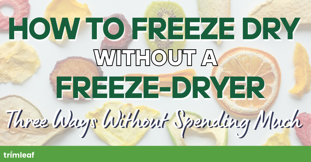 How to Freeze Dry Without a Freeze-Dryer: Three Ways Without Spending Much