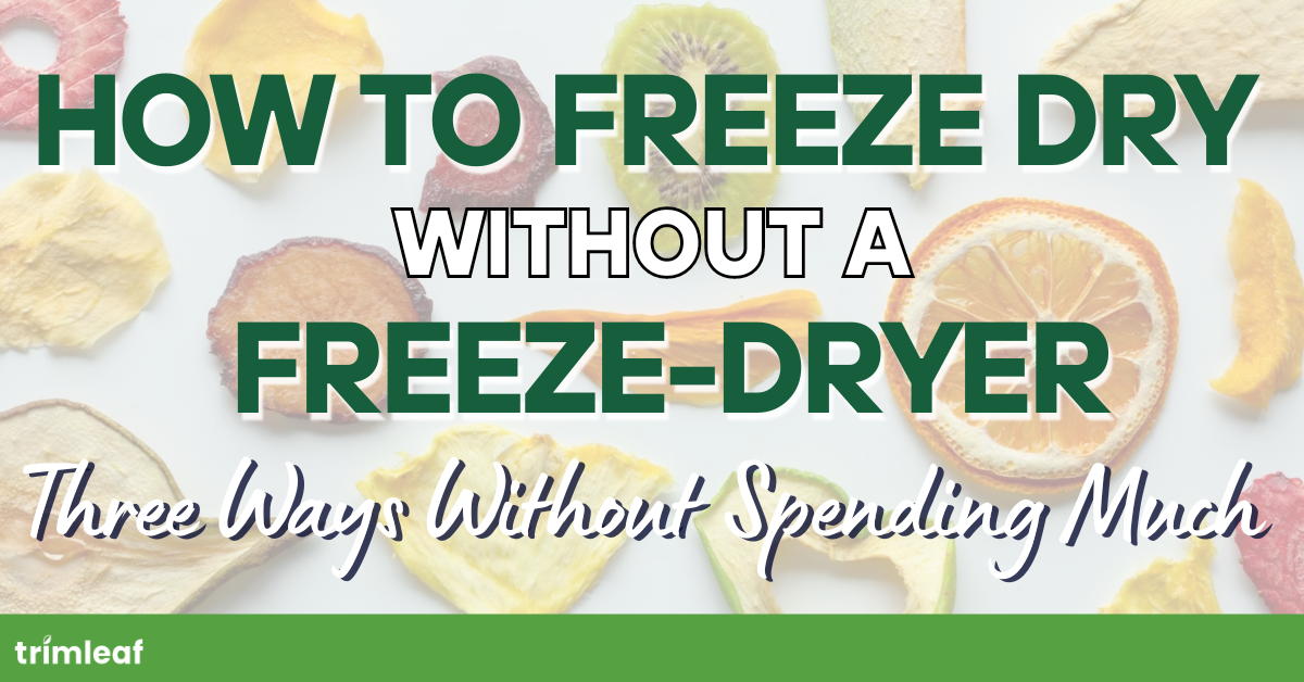 How to Freeze Dry Without a Freeze Dryer: Three Ways Without Spending Much