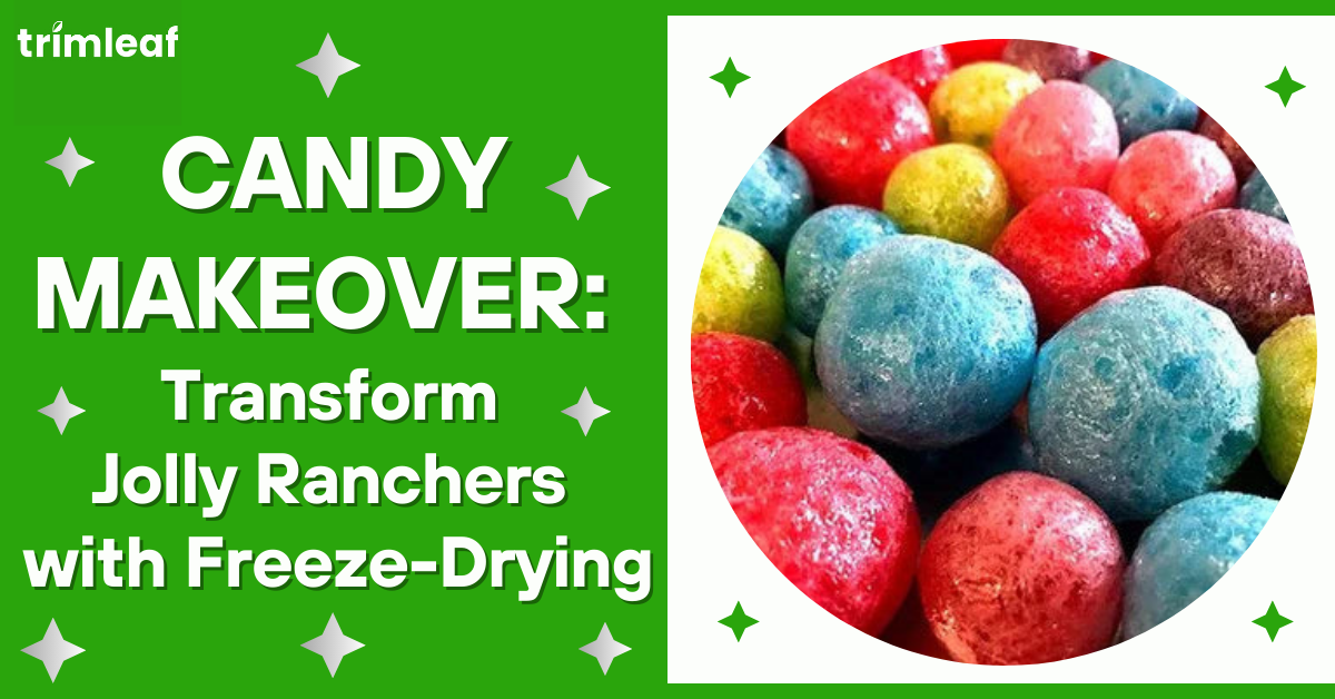 Candy Makeover: Transform Jolly Ranchers with Freeze-Drying