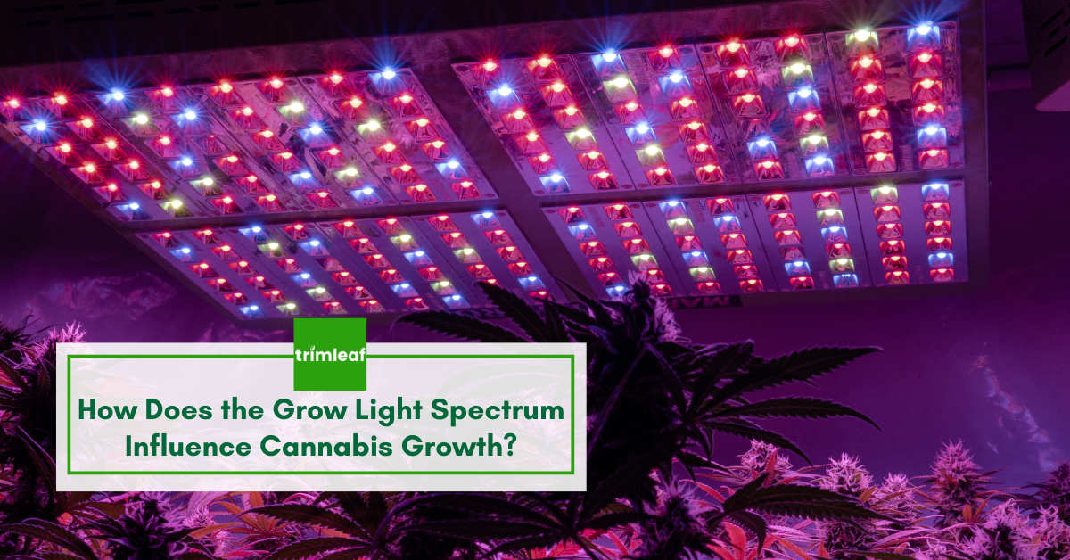 Led grow light colors deals