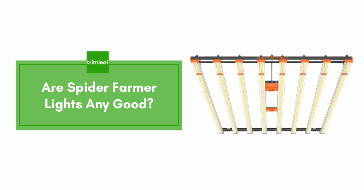 Are Spider Farmer Lights Any Good?