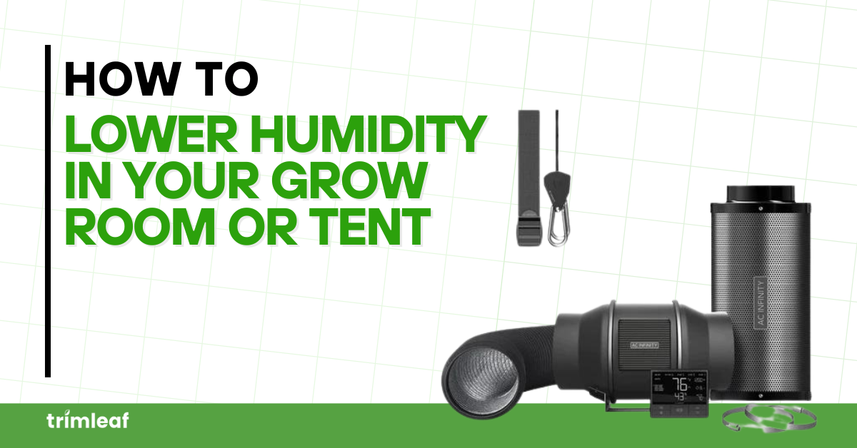 How to Lower Humidity in Your Grow Room or Tent