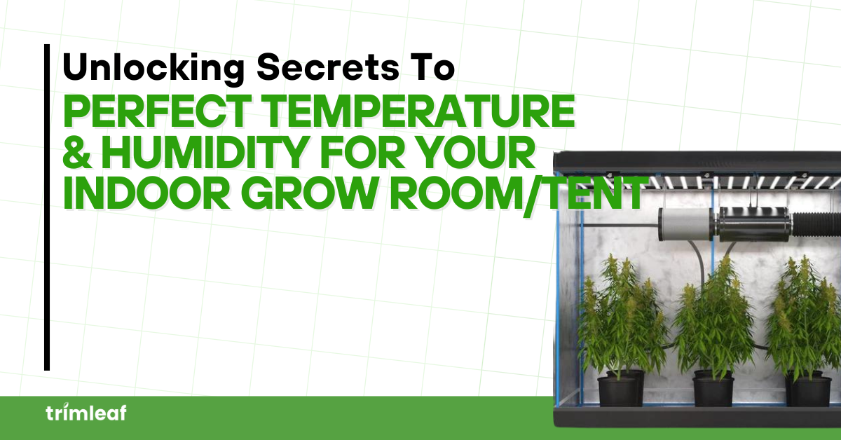 Unlocking Secrets To Perfect Temperature & Humidity For Your Indoor Grow Room/Tent