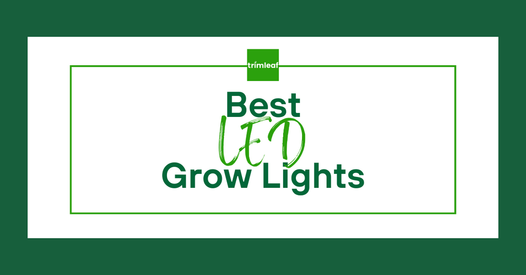 10 Best Grow Lights of 2024, Tested and Reviewed