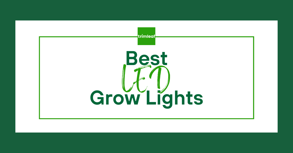 The 10 Best Grow Lights of 2024, Tested by Real Simple