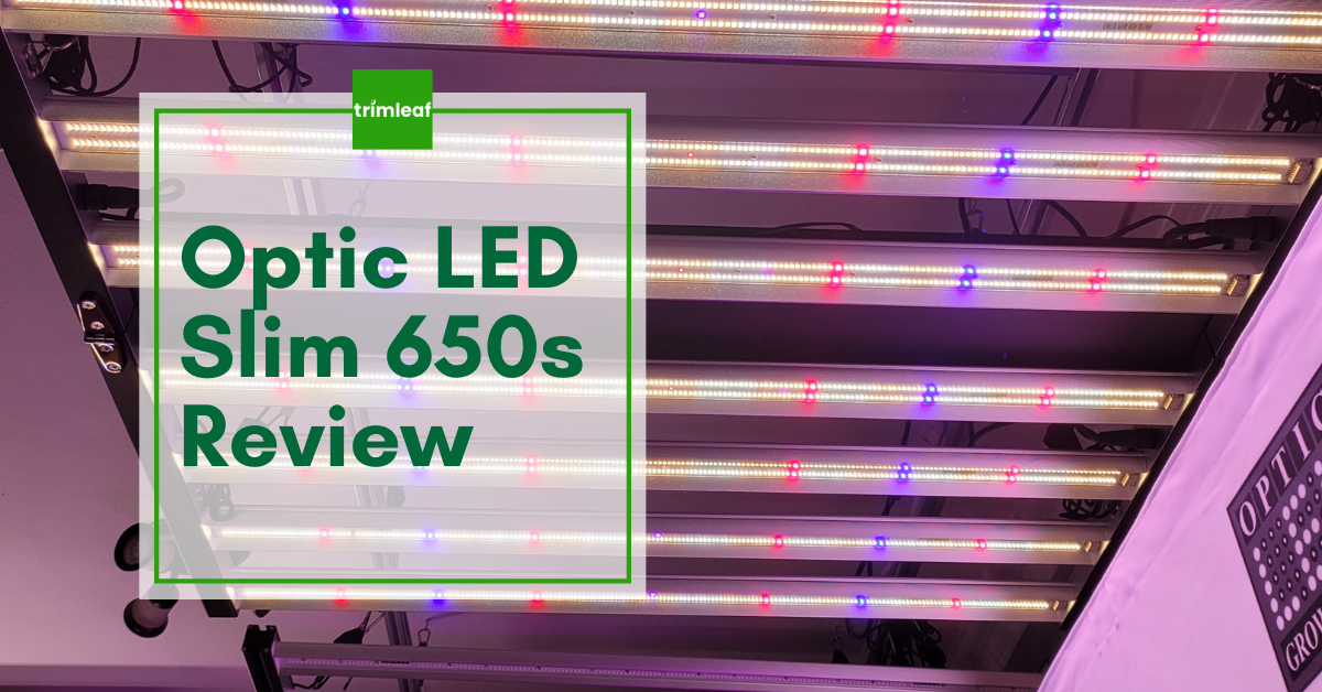 Optic LED Slim 650s Review