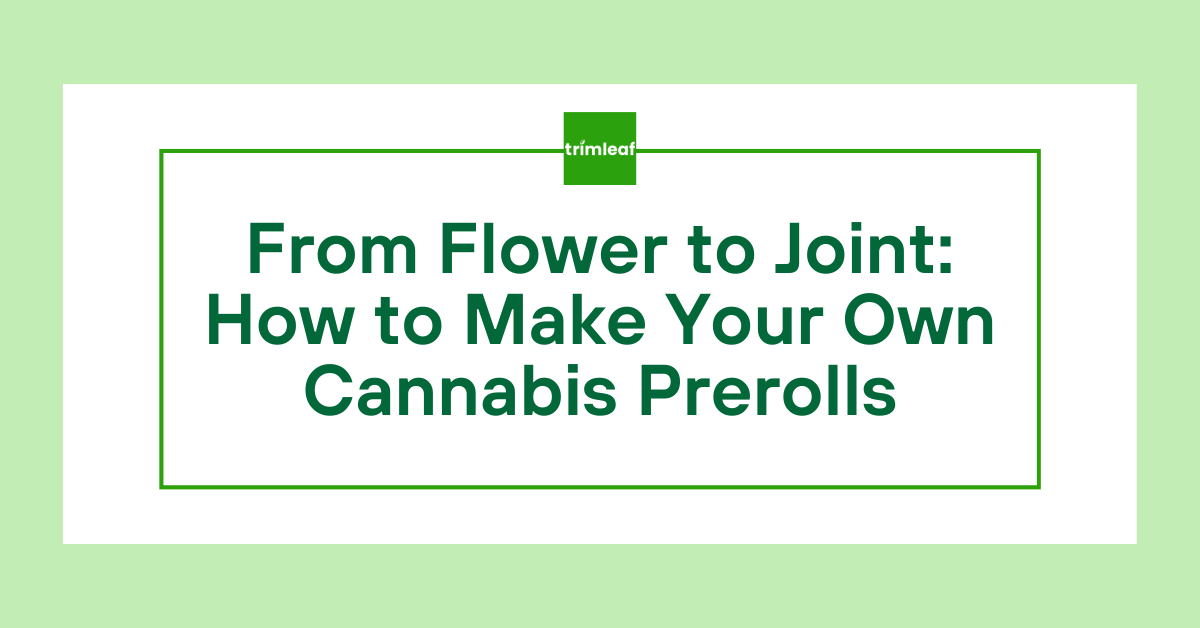 From Flower to Joint: How to Make Your Own Cannabis Prerolls