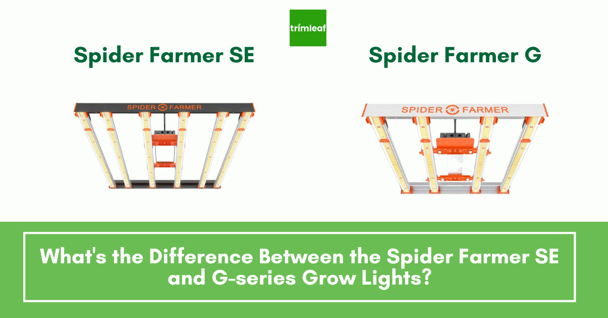 What's the Difference Between the Spider Farmer SE and G-series Grow Lights?