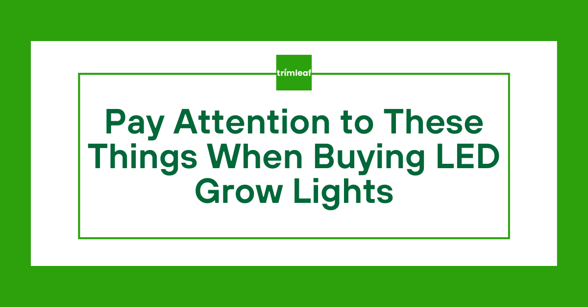 Pay Attention to These Things When Buying LED Grow Lights