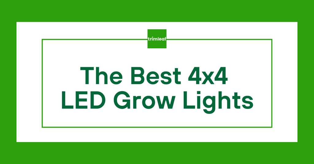 Led grow top light 4x4