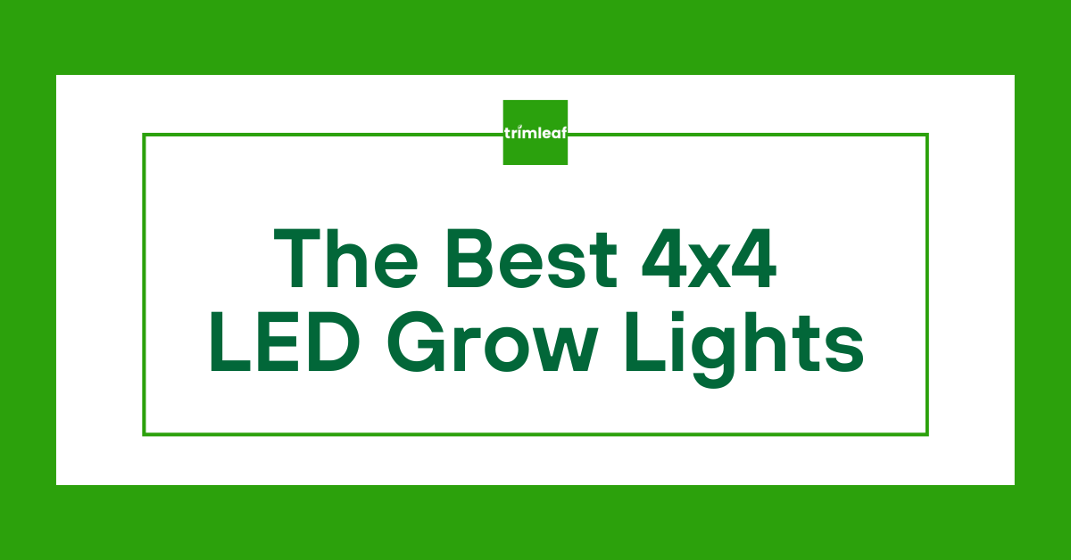 The Best 4x4 LED Grow Lights