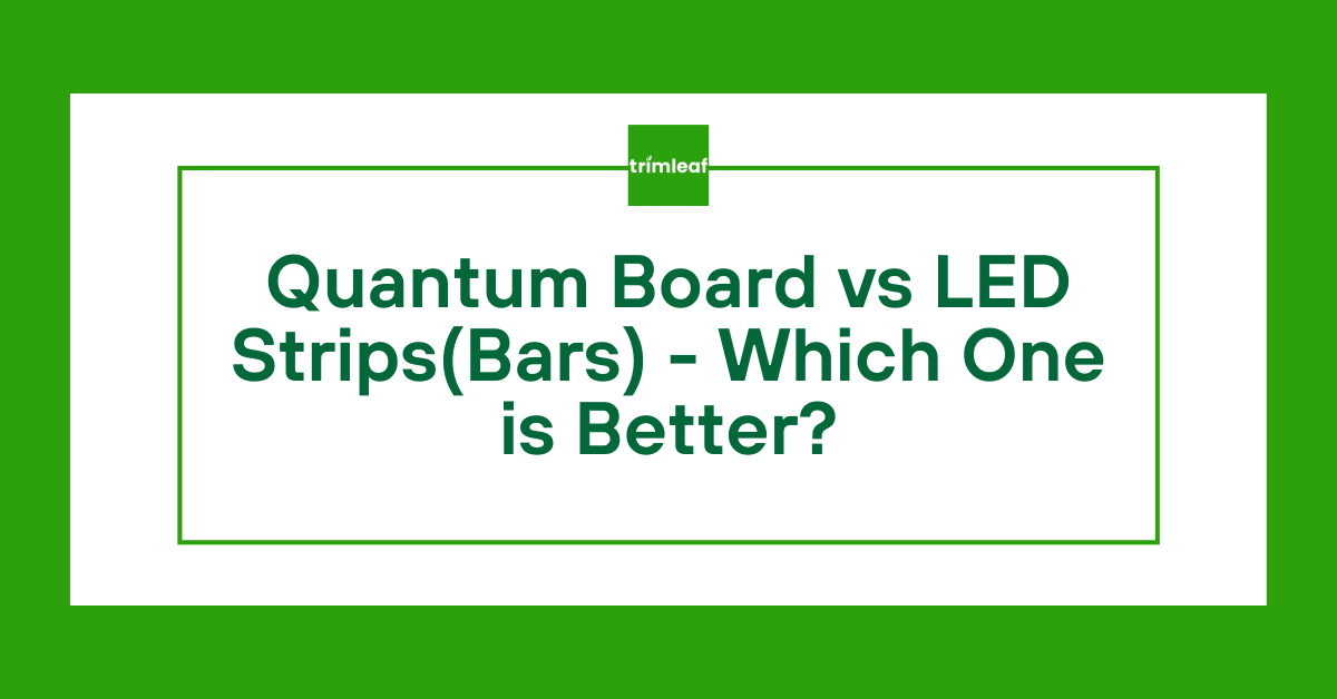 Quantum Board vs LED Strips(Bars) - Which One is Better?