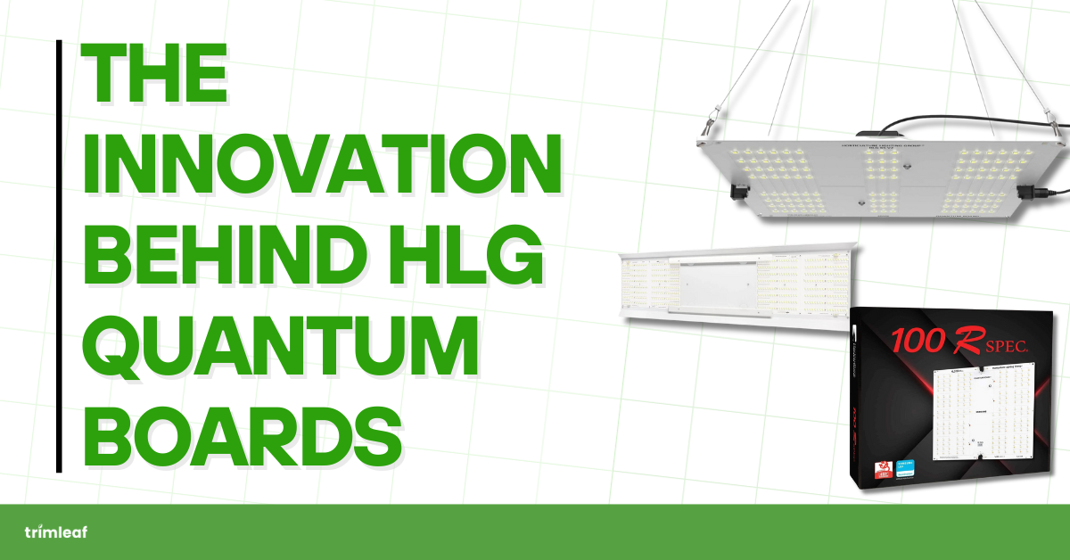 The Innovation Behind HLG Quantum Boards